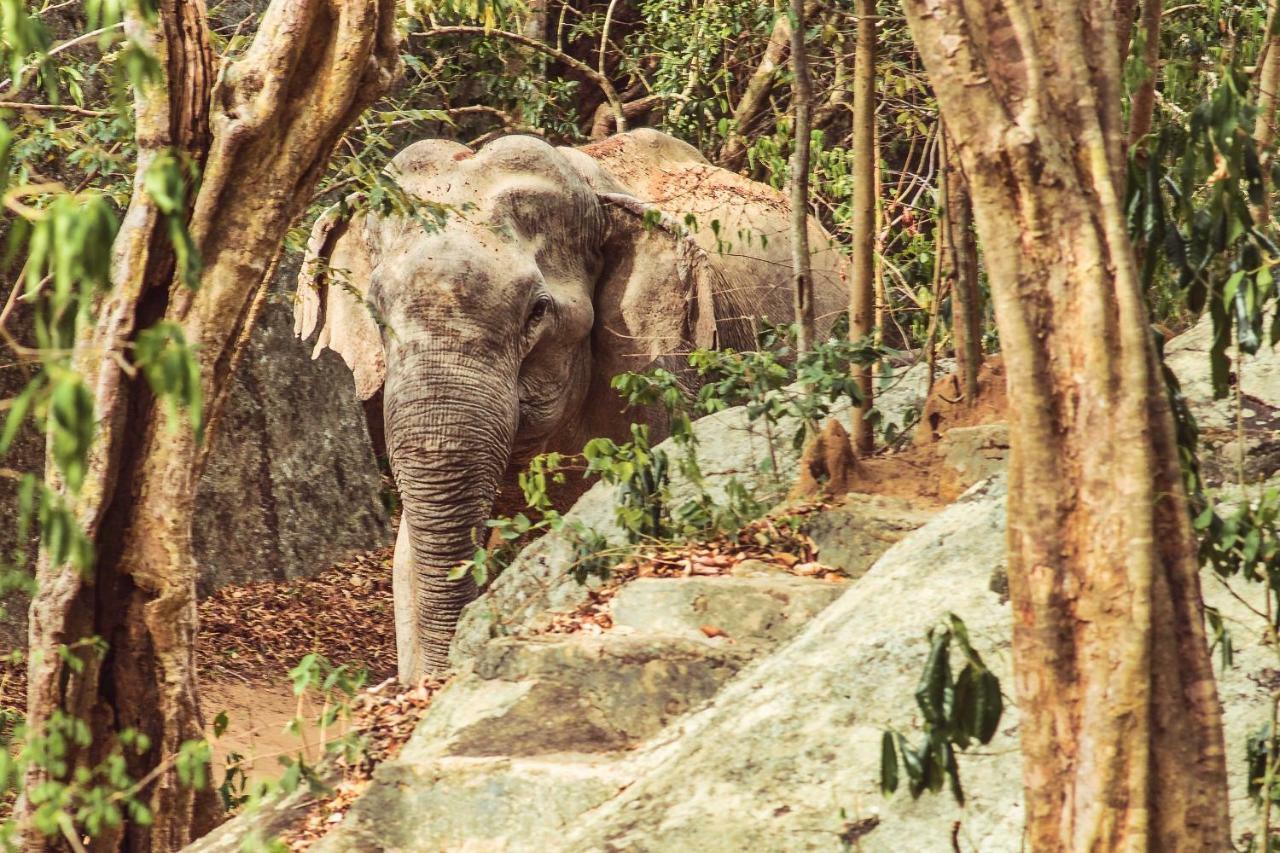 Babar Point Hotel Arugam Bay Luaran gambar